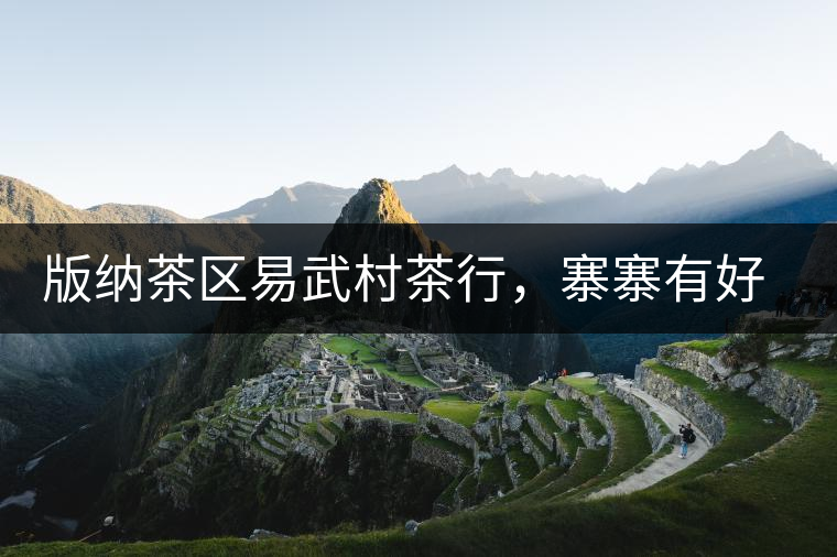 版納茶區(qū)易武村茶行，寨寨有好茶處處古茶香