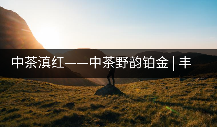 中茶滇紅——中茶野韻鉑金 | 豐苗挺秀，山野花香