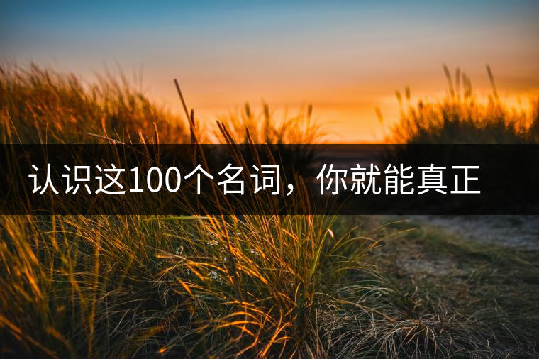認識這100個名詞，你就能真正了解普洱茶？