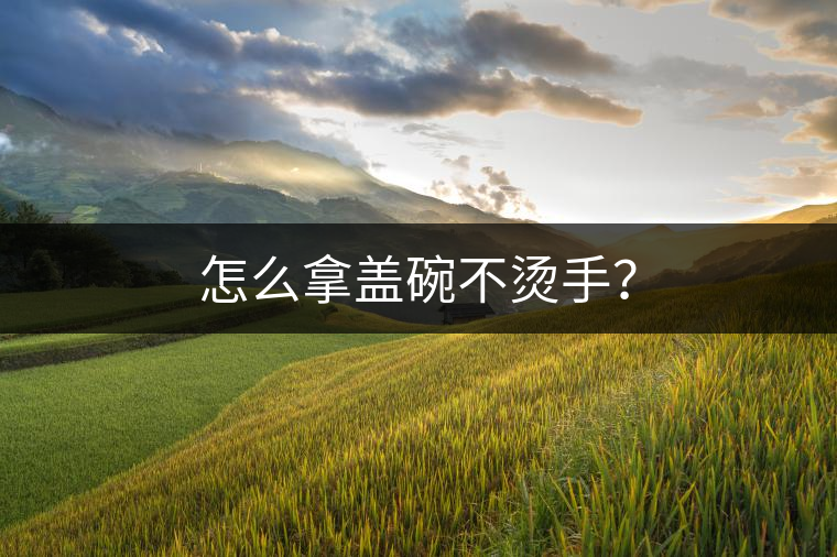 怎么拿蓋碗不燙手？