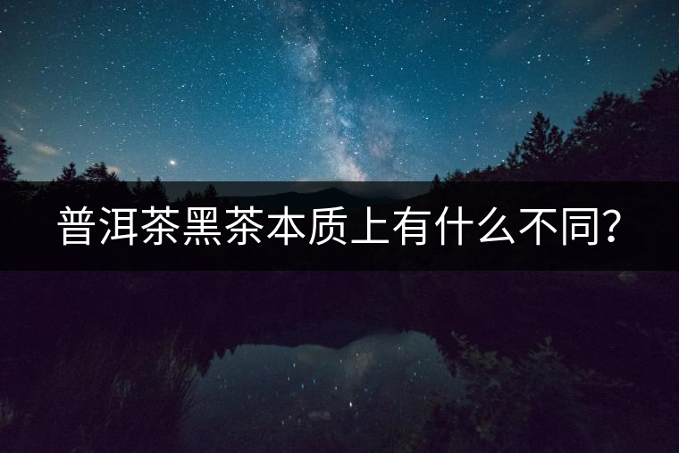 普洱茶黑茶本質(zhì)上有什么不同？