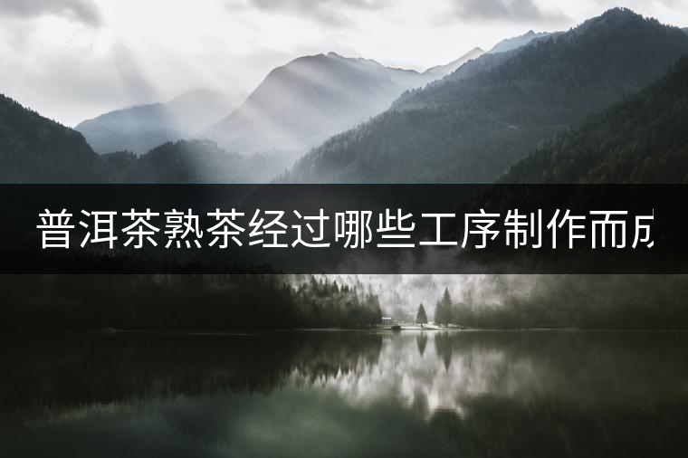 普洱茶熟茶經(jīng)過哪些工序制作而成？