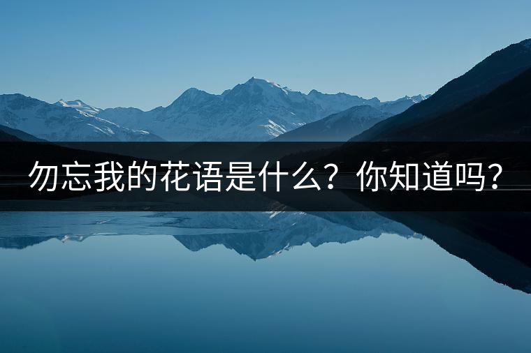 勿忘我的花語(yǔ)是什么？你知道嗎？