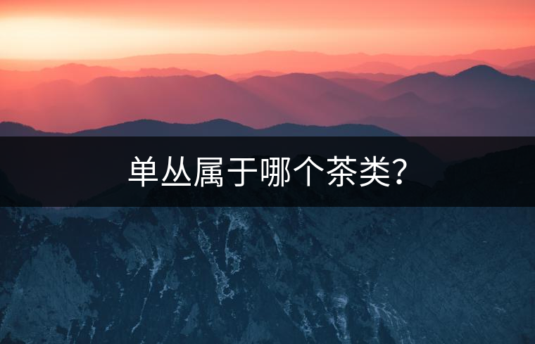 單叢屬于哪個茶類？