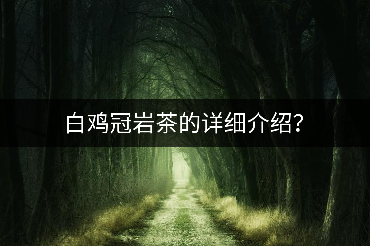 白雞冠巖茶的詳細(xì)介紹？