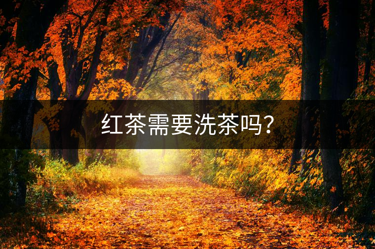 紅茶需要洗茶嗎？