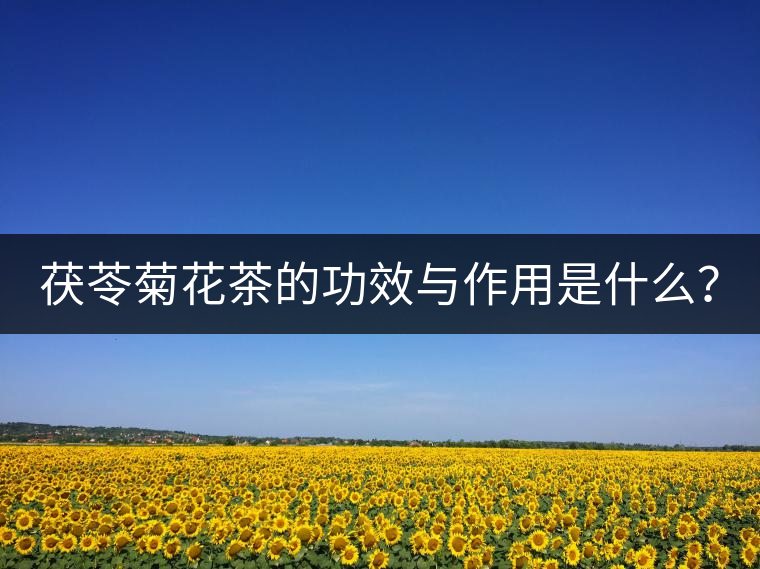 茯苓菊花茶的功效與作用是什么？