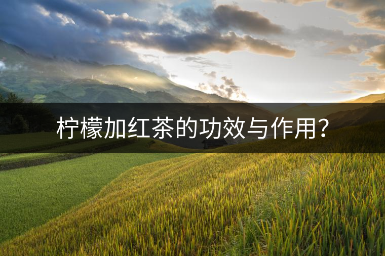 檸檬加紅茶的功效與作用？