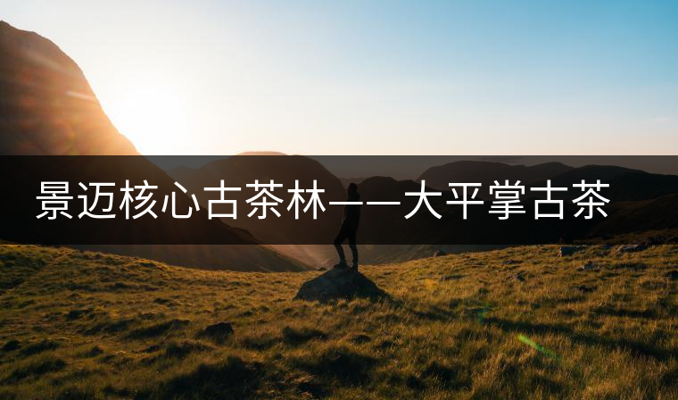 景邁核心古茶林——大平掌古茶園