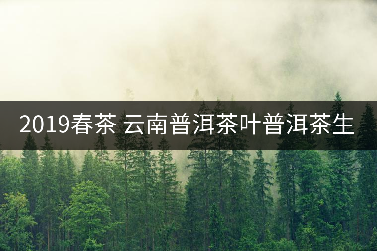 2019春茶 云南普洱茶葉普洱茶生茶 易武正山古樹(shù)純料生茶357g貢餅