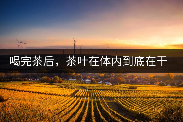 喝完茶后，茶葉在體內(nèi)到底在干嘛，游走的茶水