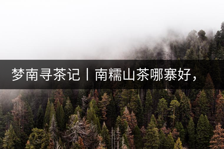 夢(mèng)南尋茶記丨南糯山茶哪寨好，半坡老寨數(shù)第一