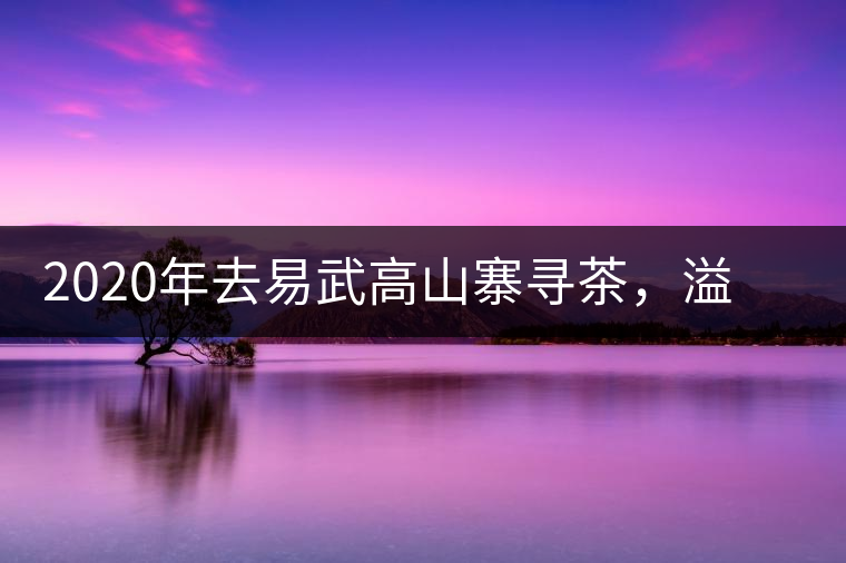 2020年去易武高山寨尋茶，溢滿茶香的古樹寨子-易武中聘號(hào)
