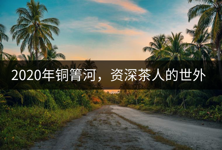 2020年銅箐河，資深茶人的世外桃源-易武-易武中聘號(hào)