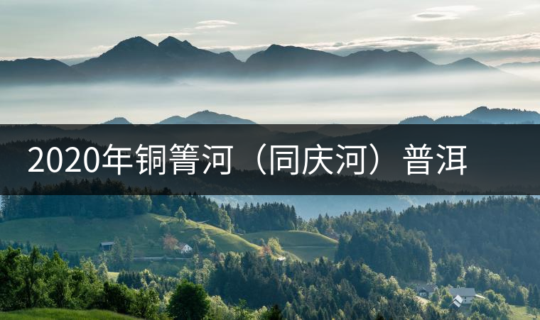 2020年銅箐河（同慶河）普洱茶，野味真難尋！-易武中聘號(hào)