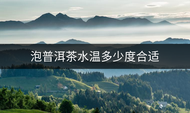泡普洱茶水溫多少度合適