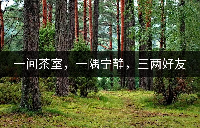 一間茶室，一隅寧靜，三兩好友