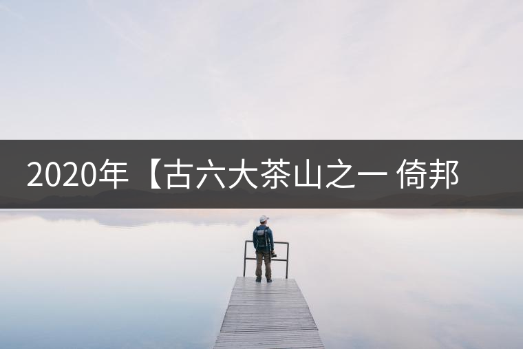2020年【古六大茶山之一 倚邦】-易武中聘號(hào)
