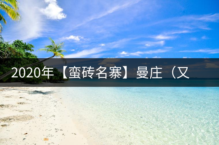 2020年【蠻磚名寨】曼莊(又作:蠻磚、曼磚)-易武中聘號 2020年【蠻磚名寨】曼莊(又作:蠻磚、曼磚)-易武中聘號