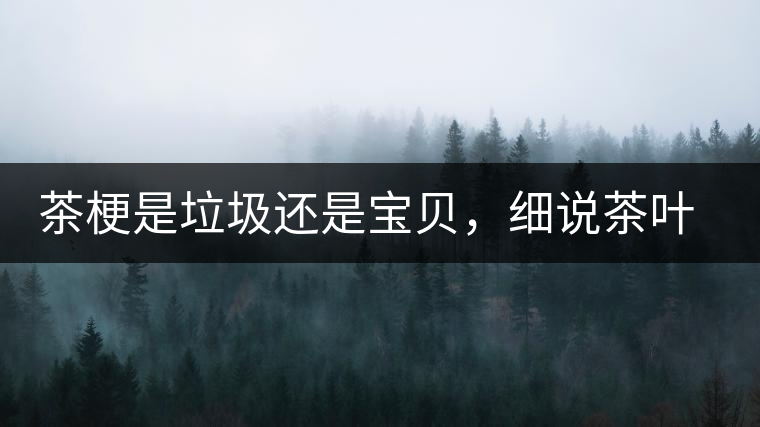 茶梗是垃圾還是寶貝，細說茶葉的那些梗