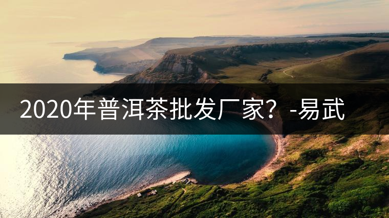 2020年普洱茶批發(fā)廠家？-易武中聘號(hào)