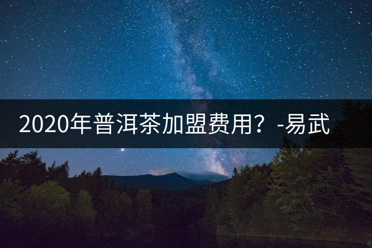 2020年普洱茶加盟費(fèi)用？-易武中聘號(hào)