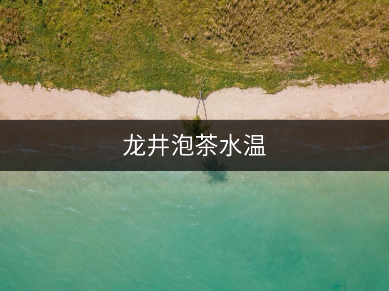 龍井泡茶水溫 龍井泡茶水溫