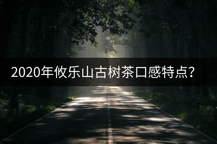 2020年攸樂山古樹茶口感特點(diǎn)？-易武中聘號(hào)