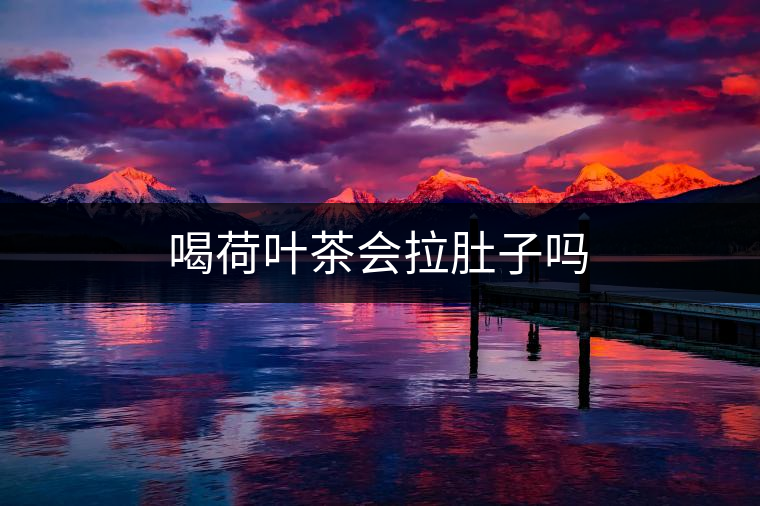 喝荷葉茶會拉肚子嗎 喝荷葉茶會拉肚子嗎