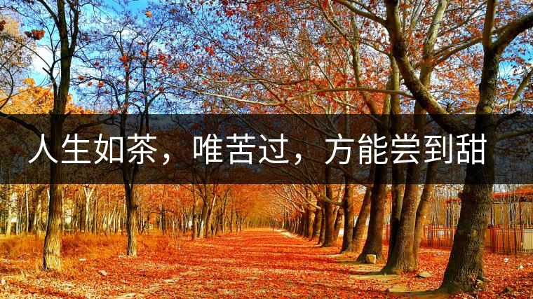 人生如茶，唯苦過，方能嘗到甜滋味
