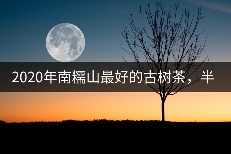 2020年南糯山最好的古樹茶，半坡老寨！-易武中聘號