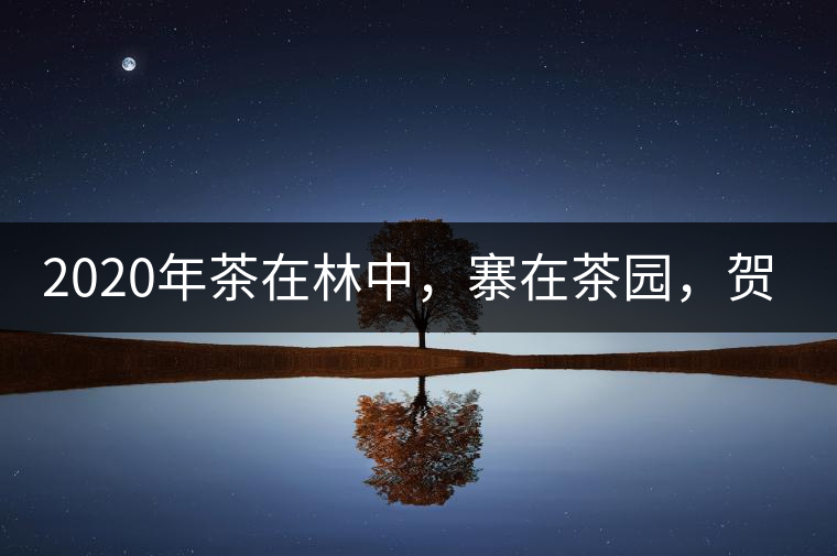 2020年茶在林中，寨在茶園，賀開古樹茶-易武中聘號