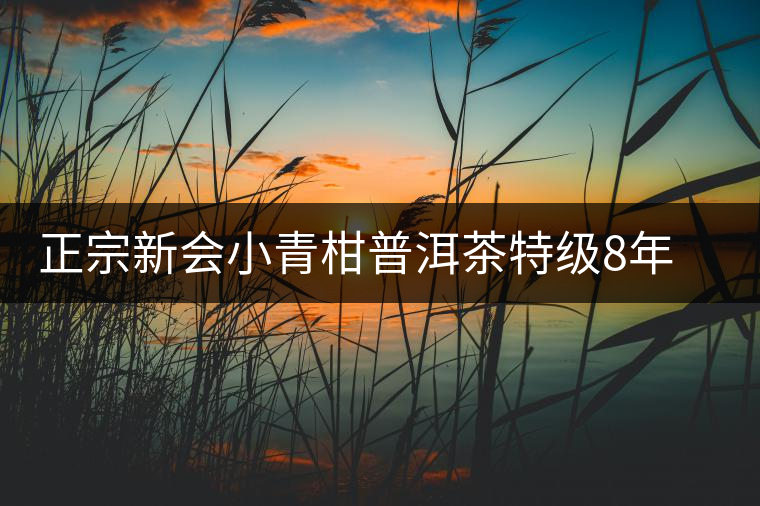 正宗新會小青柑普洱茶特級8年宮廷熟茶普橘普高檔禮盒裝內含茶具 正宗新會小青柑普洱茶特級8年宮廷熟茶普橘普高檔禮盒裝內含茶具