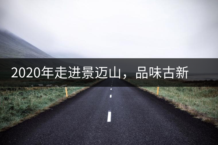 2020年走進(jìn)景邁山，品味古新六大茶山古樹茶之韻-易武中聘號(hào)