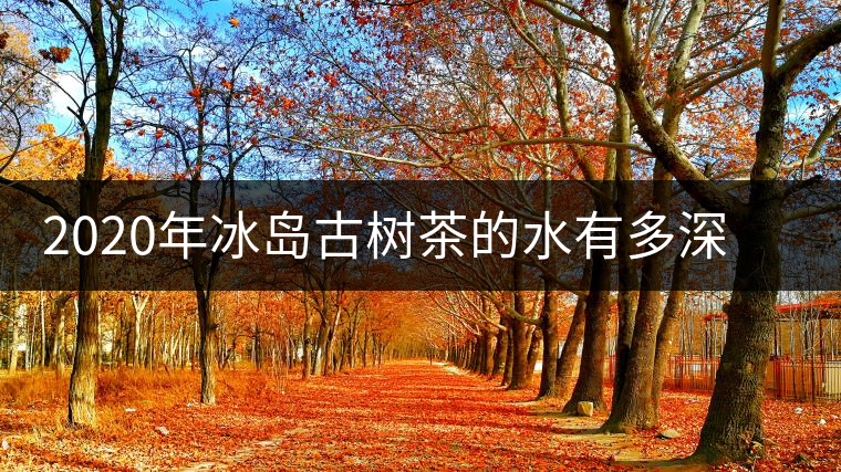 2020年冰島古樹茶的水有多深？別被蒙在鼓里啦-易武中聘號
