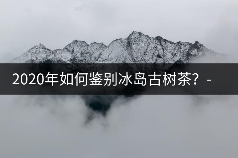 2020年如何鑒別冰島古樹茶？-易武中聘號