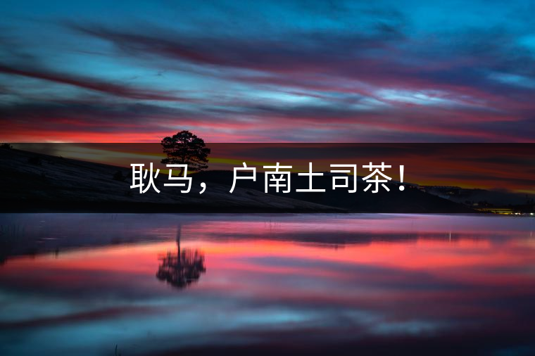 耿馬，戶南土司茶！
