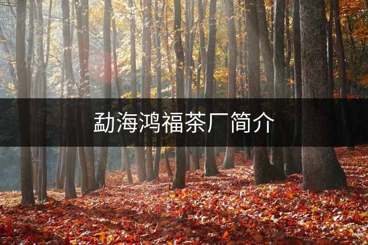 勐海鴻福茶廠簡(jiǎn)介 勐海鴻福茶廠簡(jiǎn)介