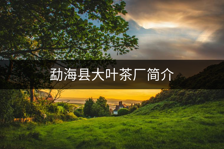 勐海縣大葉茶廠簡介 勐海縣大葉茶廠簡介