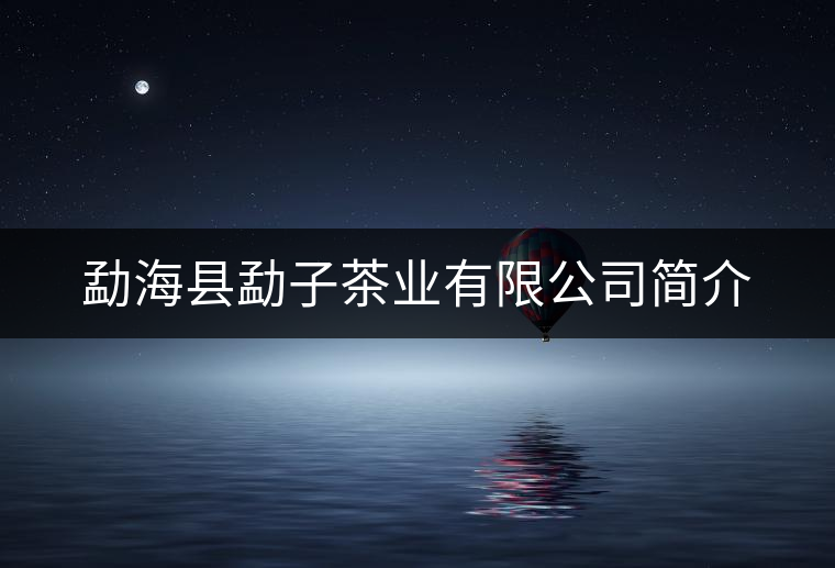 勐?？h勐子茶業(yè)有限公司簡介