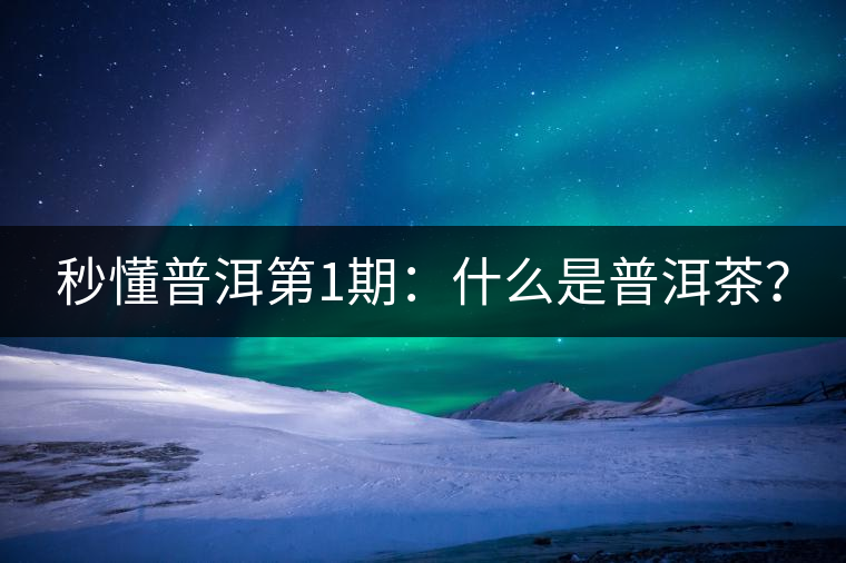 秒懂普洱第1期：什么是普洱茶？