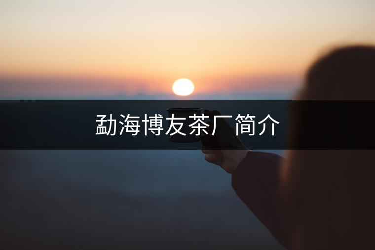勐海博友茶廠簡介 勐海博友茶廠簡介