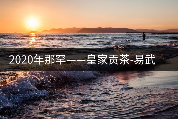 2020年那罕——皇家貢茶-易武中聘號