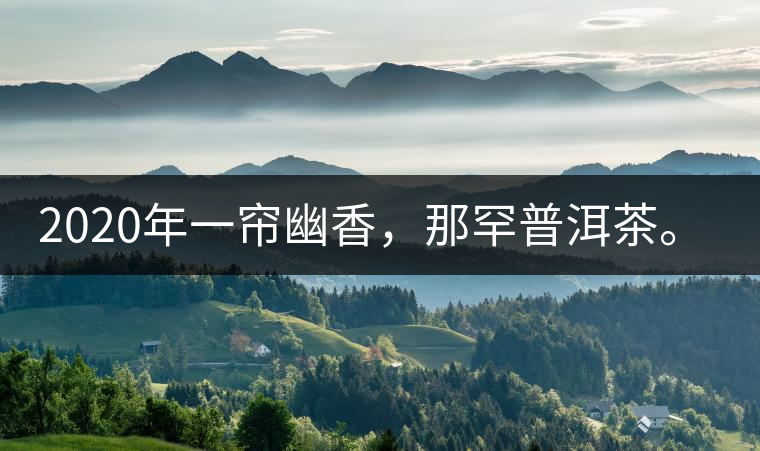 2020年一簾幽香，那罕普洱茶。-易武中聘號(hào)