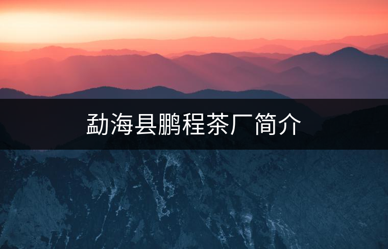 勐?？h鵬程茶廠簡(jiǎn)介