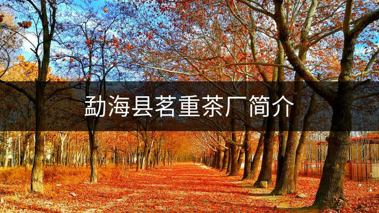 勐?？h茗重茶廠簡介