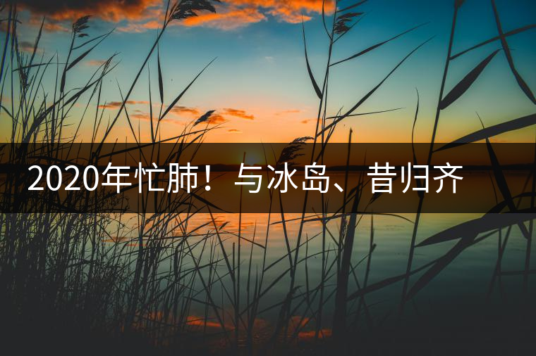 2020年忙肺！與冰島、昔歸齊名的普洱茶，到底是什么味道？-易武中聘號