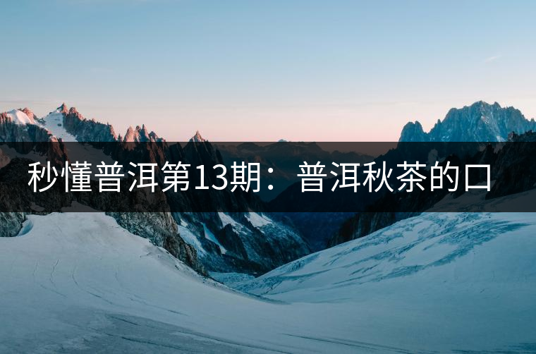 秒懂普洱第13期：普洱秋茶的口感特點(diǎn)？