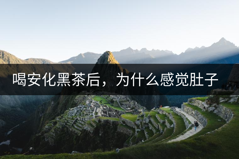 喝安化黑茶后，為什么感覺(jué)肚子餓的快？