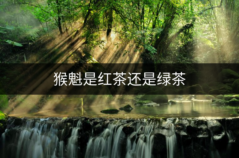 猴魁是紅茶還是綠茶 猴魁是紅茶還是綠茶